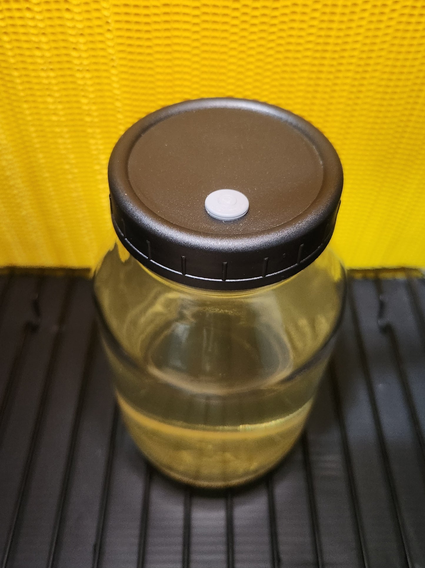 Sealed Liquid Culture Media Kit (700 ml) - Sterilized with Injection Port