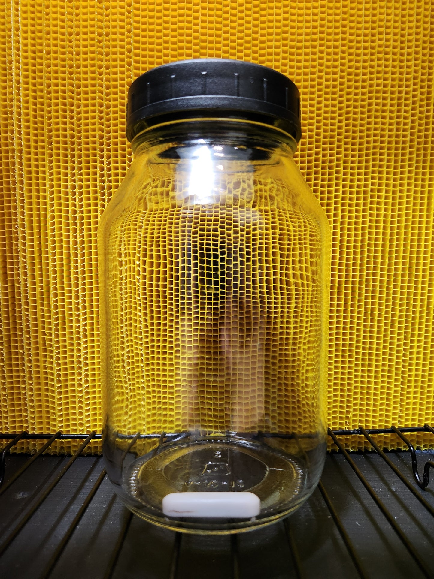 Sealed LC Jar/Lid Kit (1000 ml) - Injection Port
