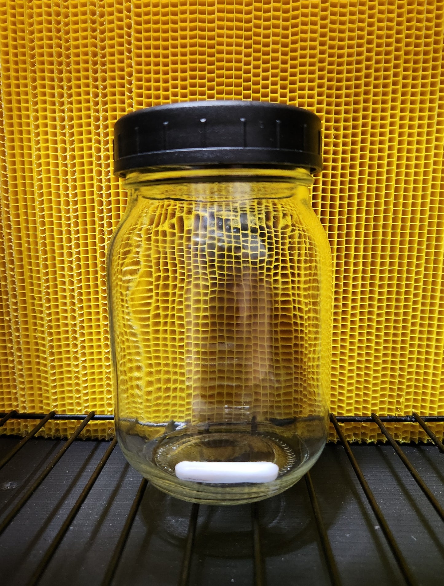 Set of 6 Sealed LC Jar/Lid Kit (500 ml) - Injection Port