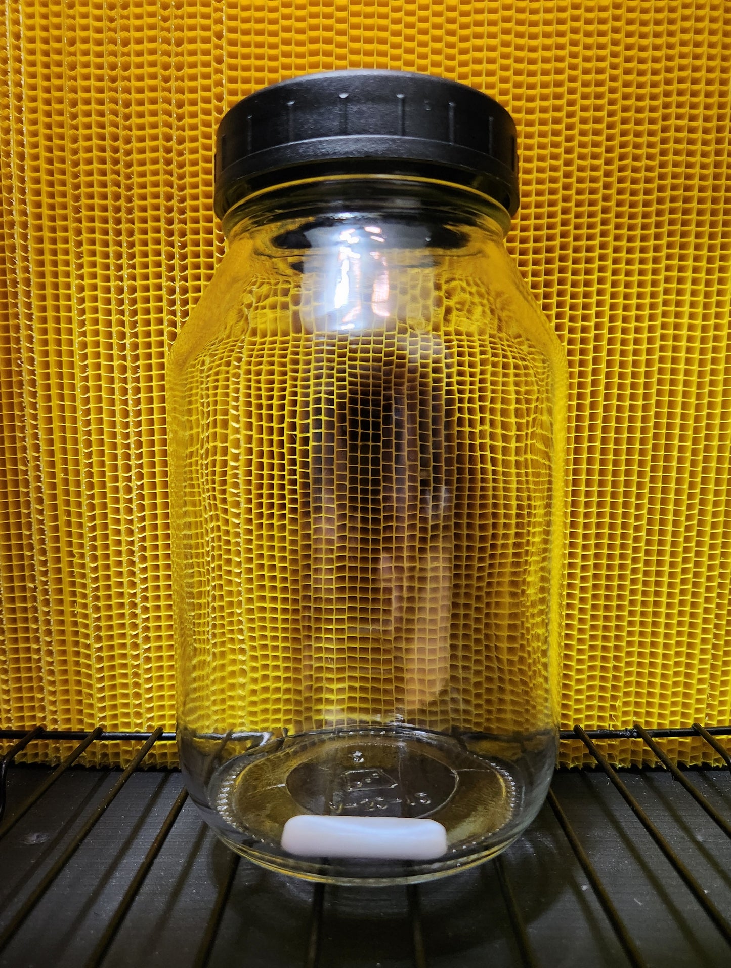 Set of 6 Vented LC Jar/Lid Kit (1000 ml) - Injection Port and 0.3-micron Filter