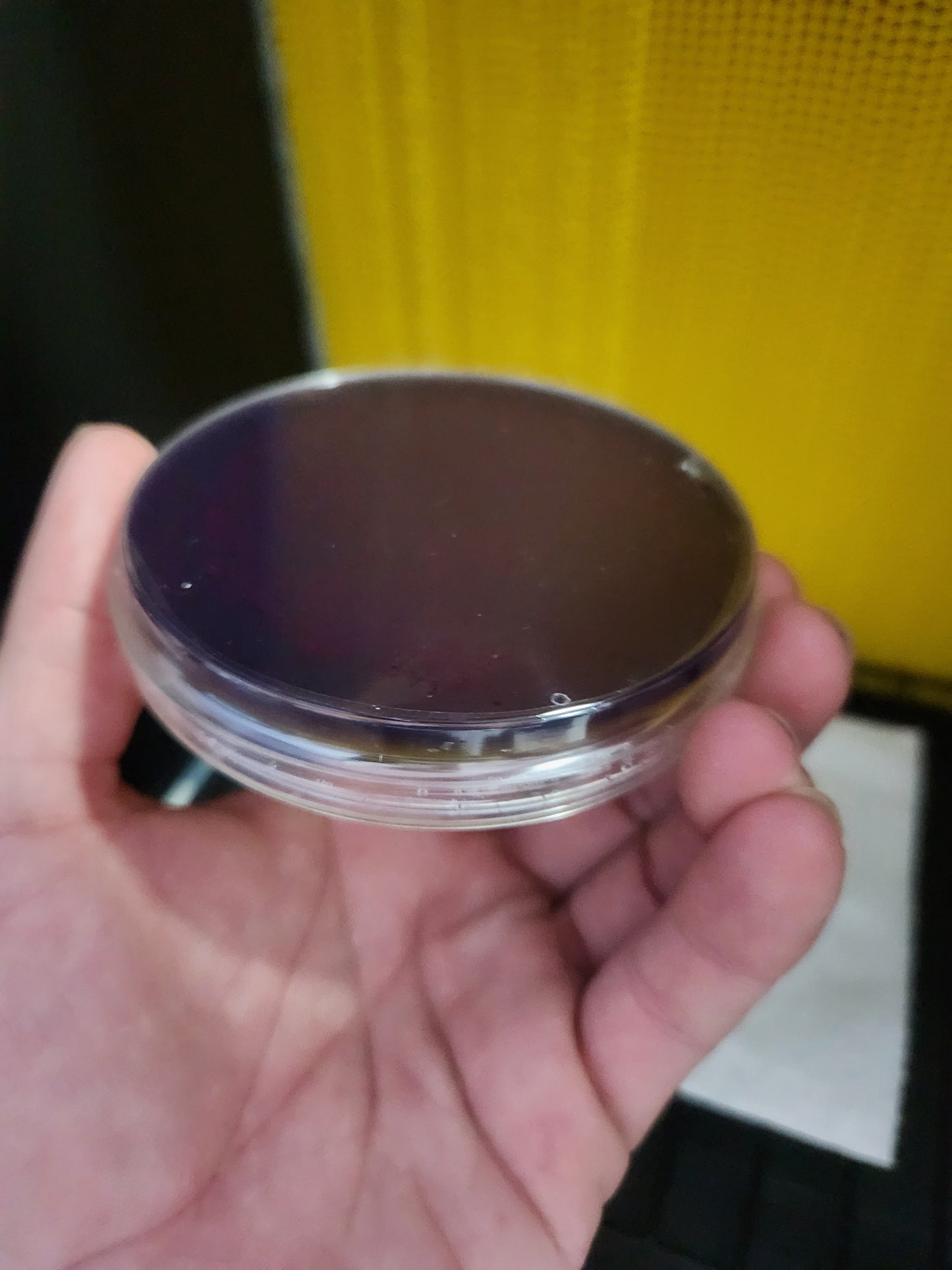 Set of 6 High Contrast Nutrient Mycology Agar Plates - Sterile and Sealed