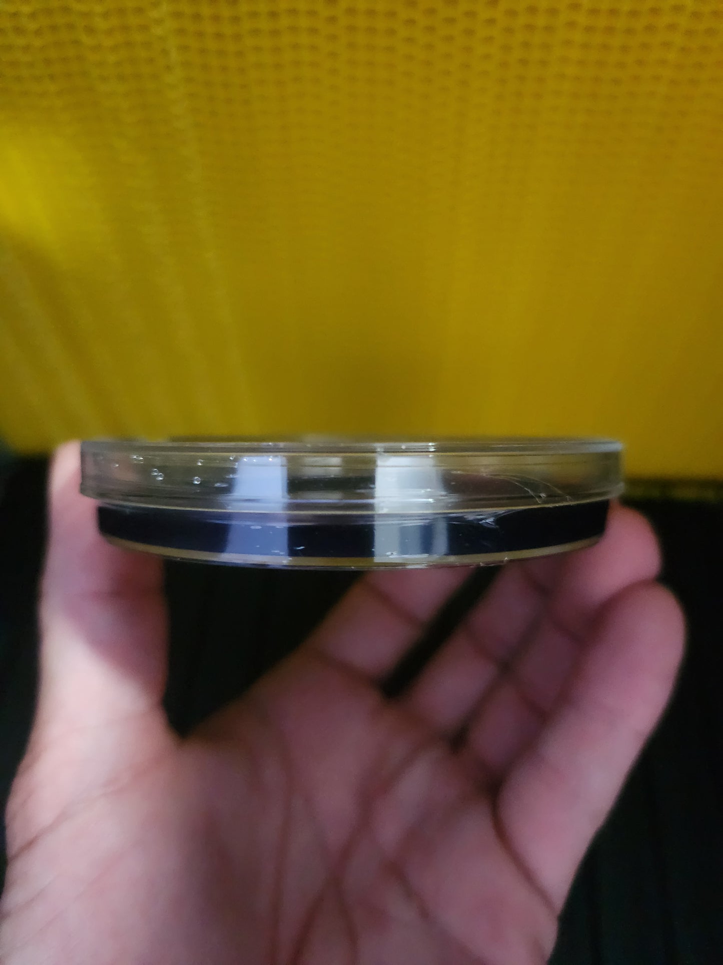 Set of 6 High Contrast Nutrient Mycology Agar Plates - Sterile and Sealed