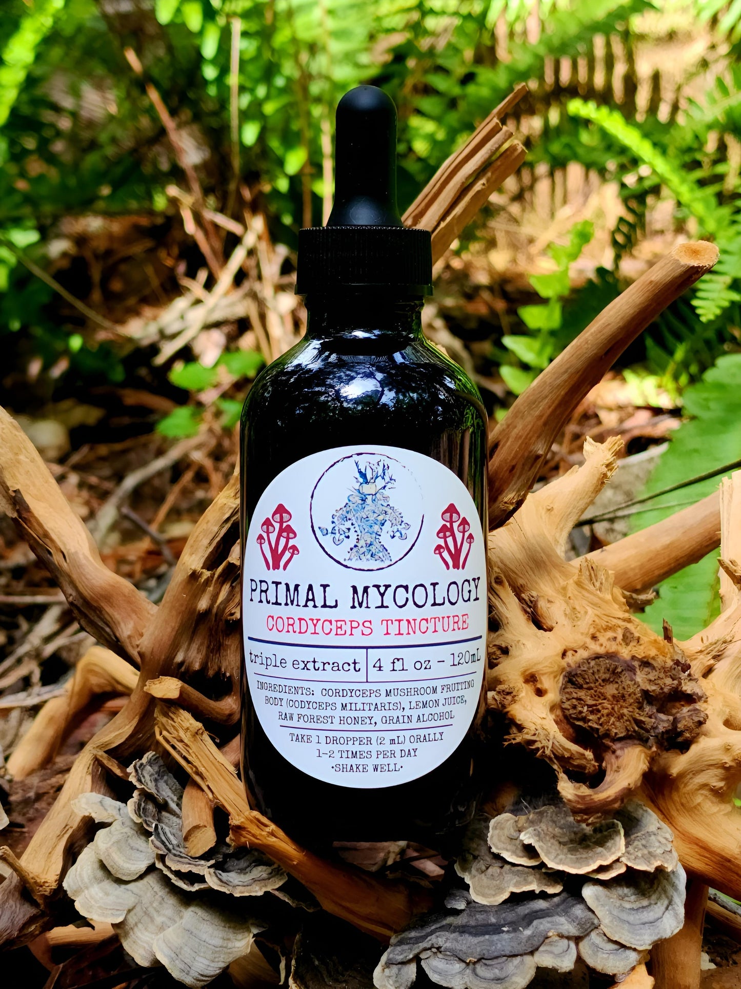 Cordyceps Triple Extracted Mushroom Tincture