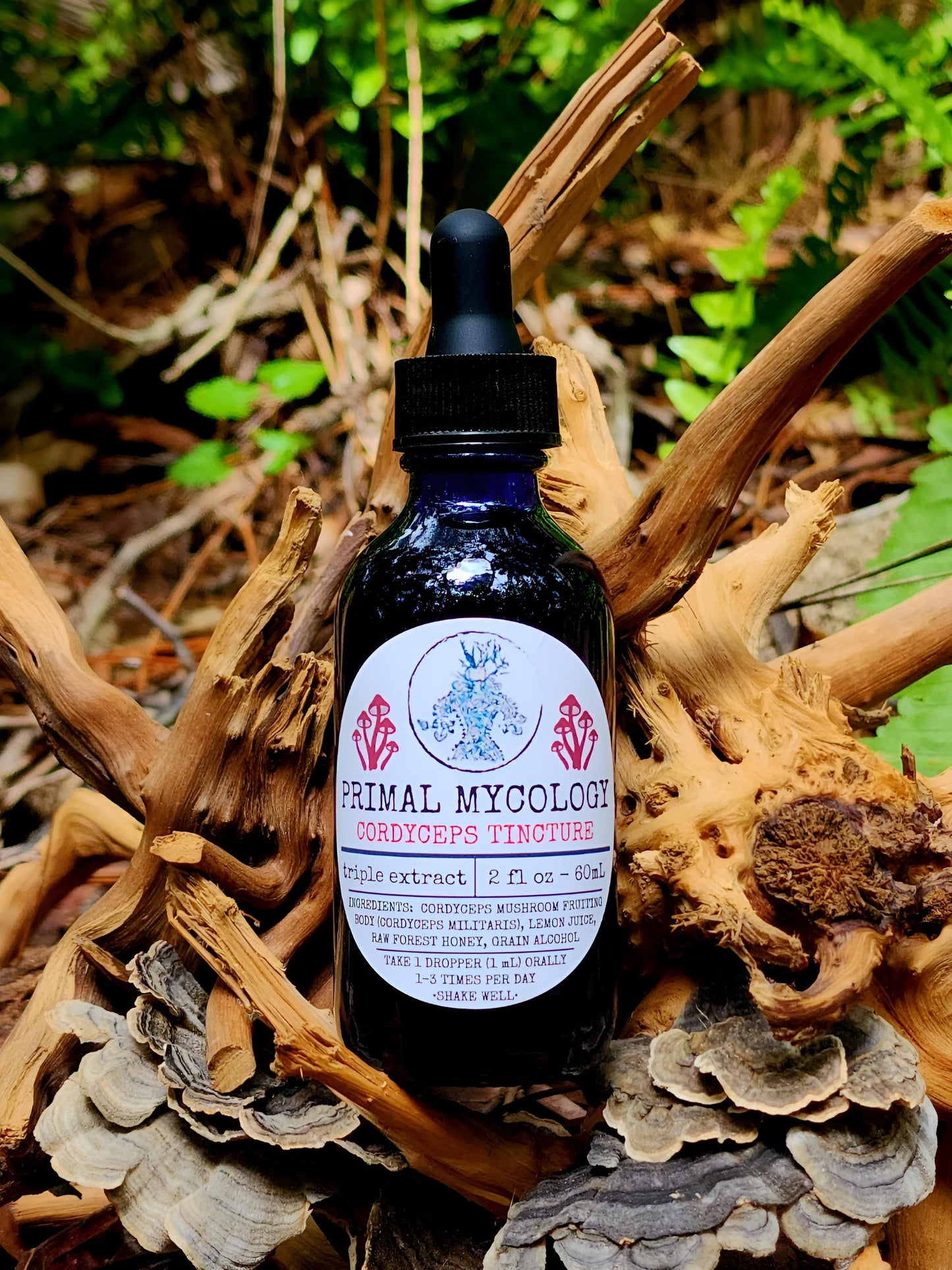 Cordyceps Triple Extracted Mushroom Tincture