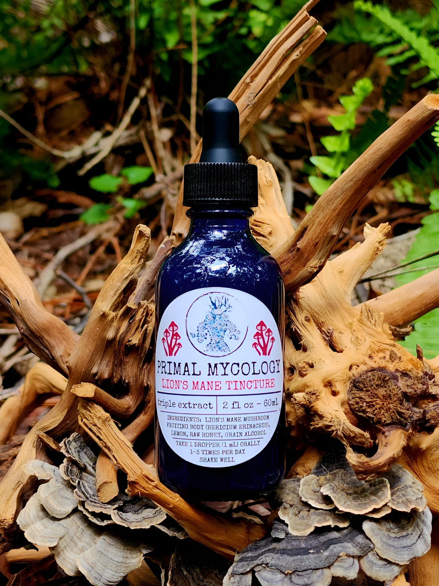 Lion's Mane Triple Extracted Mushroom Tincture