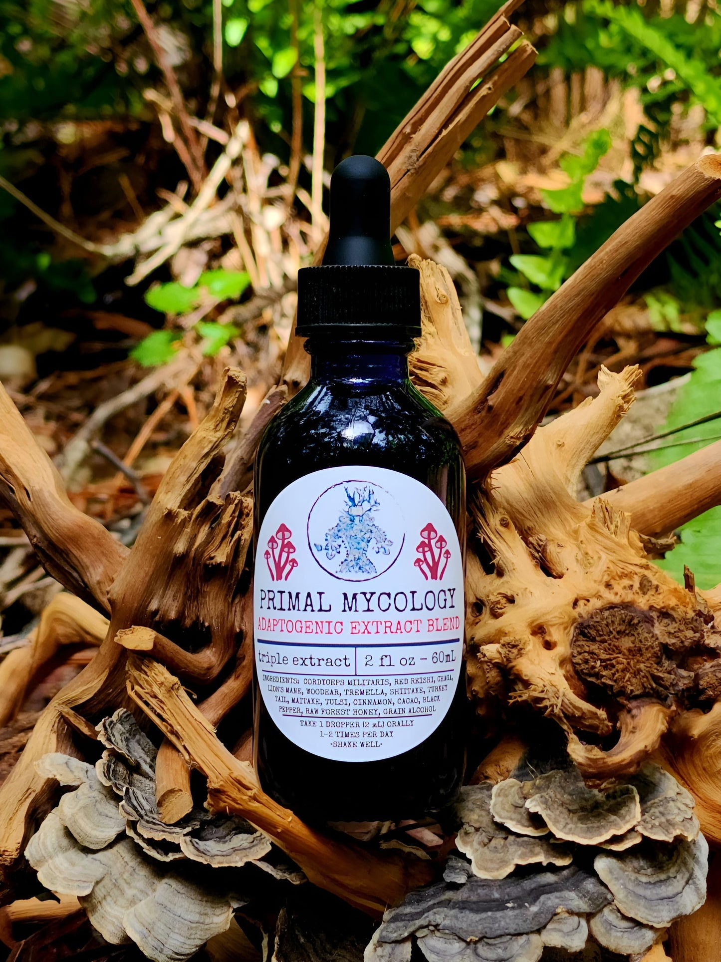 Adaptogenic Extract Blend - Potent Triple Extracted Mushroom & Botanical Formulation