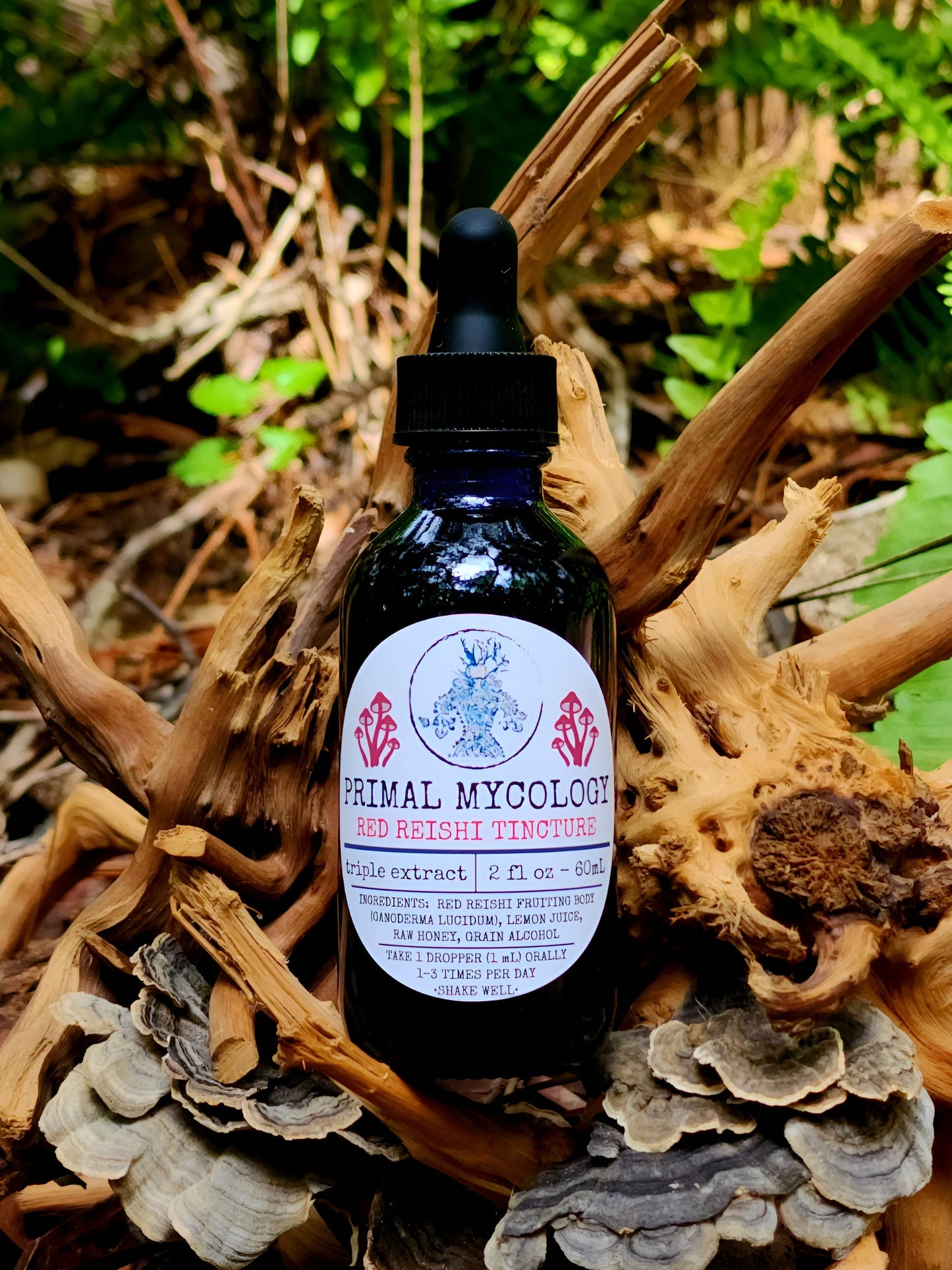 Red Reishi Triple Extracted Mushroom Tincture