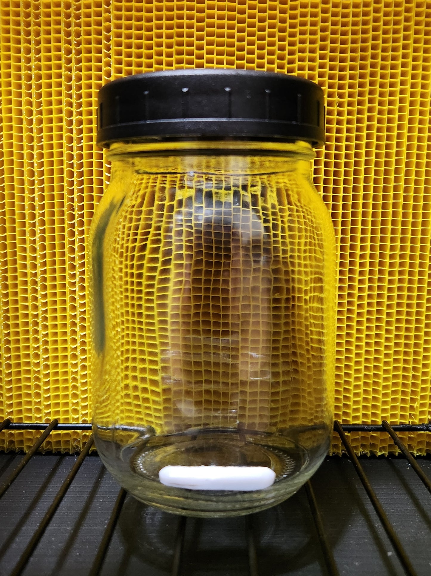 Vented LC Jar/Lid Kit (500 ml) - Injection Port and 0.3-micron Filter