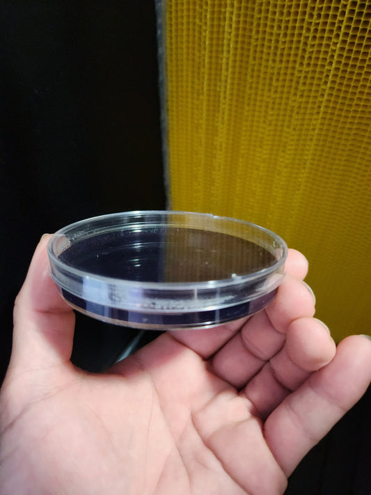 Single High Contrast Nutrient Mycology Agar Plate - Sterile and Sealed