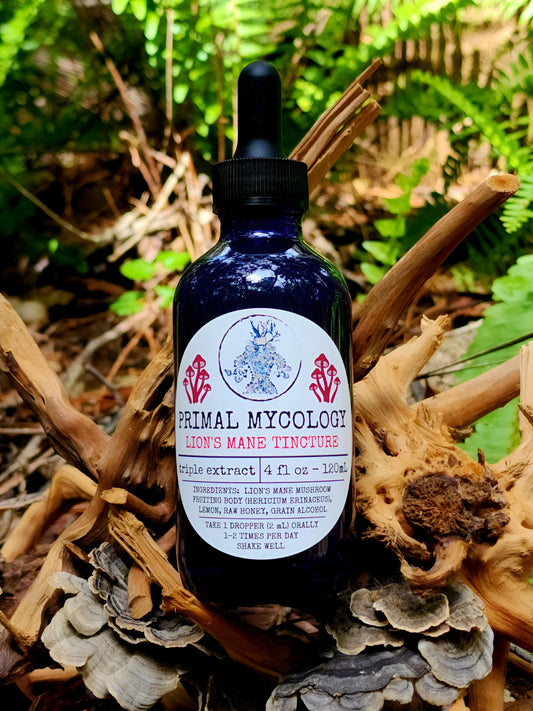 Lion's Mane Triple Extracted Mushroom Tincture