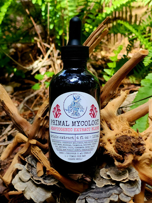 Adaptogenic Extract Blend - Potent Triple Extracted Mushroom & Botanical Formulation