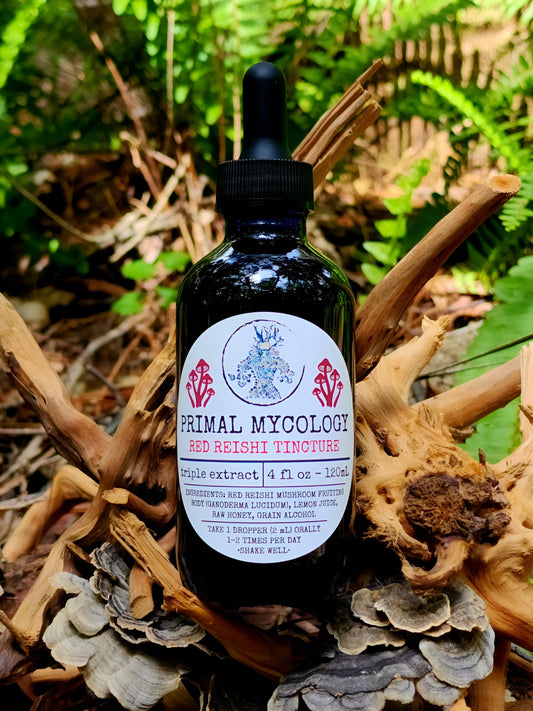 Red Reishi Triple Extracted Mushroom Tincture
