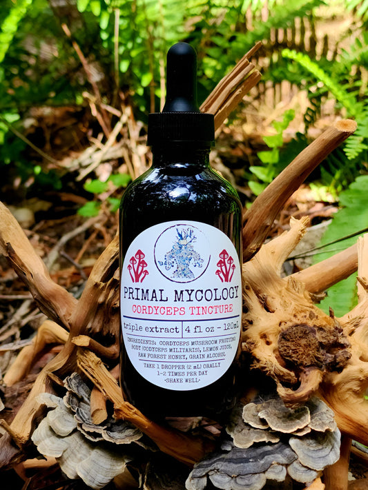 Cordyceps Triple Extracted Mushroom Tincture