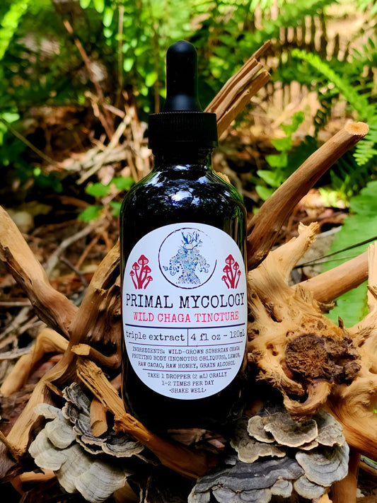 Wild Siberian Chaga Triple Extracted Mushroom Tincture