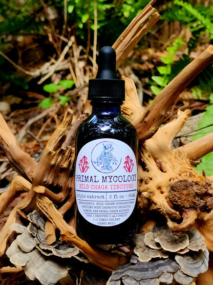 Wild Siberian Chaga Triple Extracted Mushroom Tincture