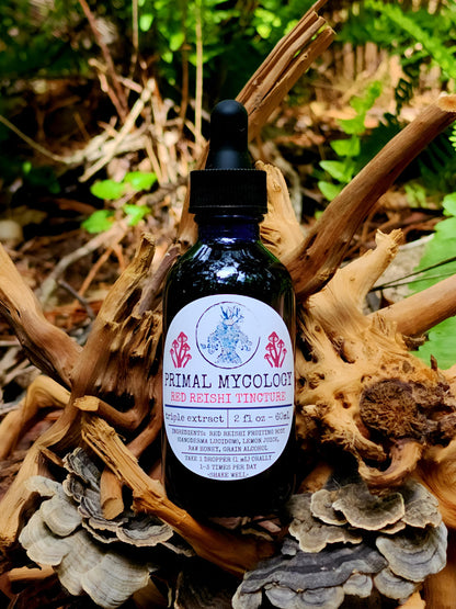 Red Reishi Triple Extracted Mushroom Tincture