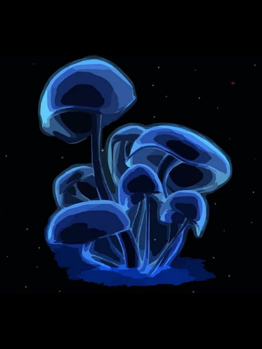 "Blue Angel/Indigo" (P. azurescens) Concentrated Live Spore Syringe