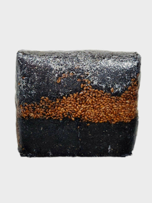 BLACK GOLD Sterilized Composted Dung Bulk Mushroom Substrate (10 lbs)